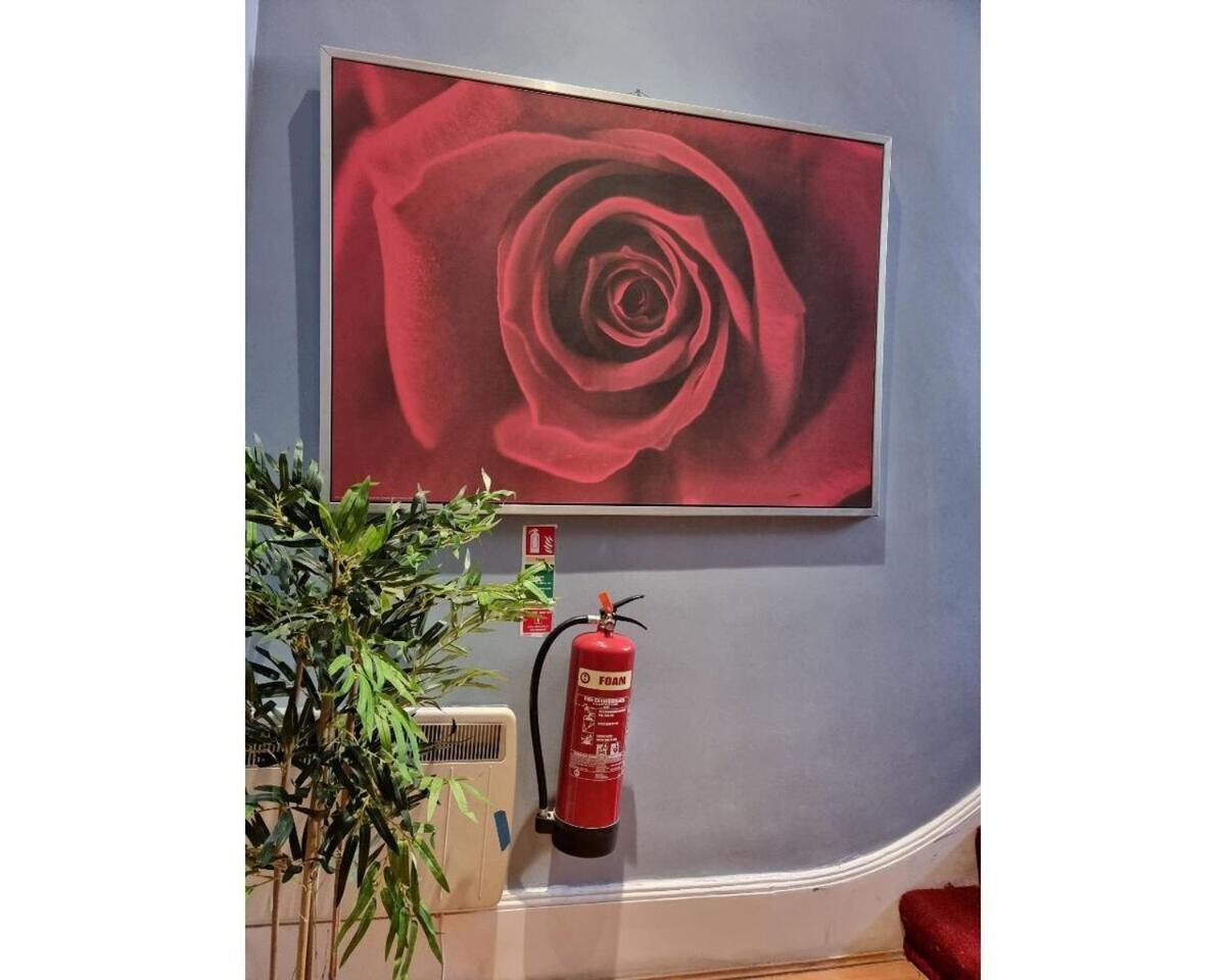 F301-Awesome 3Rd Flr Studio Fits 1 Near Hyde Park London Exteriör bild